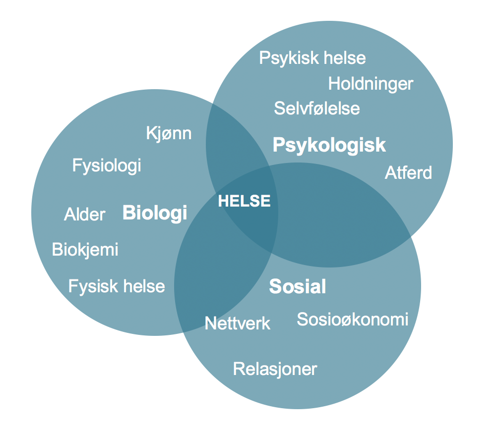 Den biopsykososiale modellen: Helse forstås ofte i biologisk, psykologisk og sosial kontekst. 